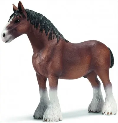 Quel est le sexe de ce Schleich ?
