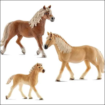 Quelle est la race de cette famille ?