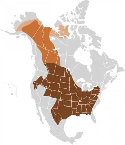 Histoire > &Agrave; quoi correspond cette aire, d&eacute;clin&eacute;e en 3 nuances de brun, parcourant le continent du nord au sud ?