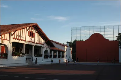 Qui est la vedette du baron tzigane, le film de 1954, d'Arthur Maria Rabenalt ?