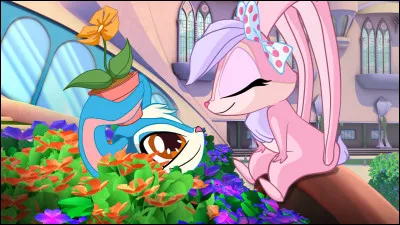 La Saint-Valentin arrive. Que faites-vous ?