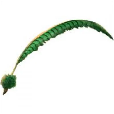 Quel est ton métier de rêve ?