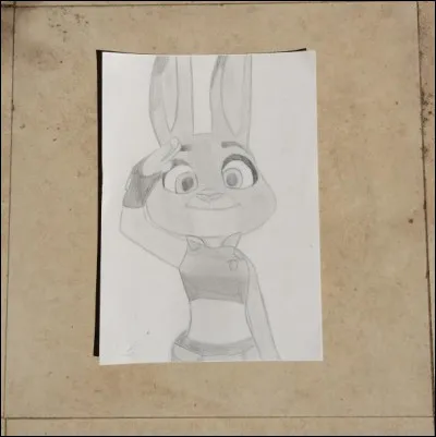 De quelle couleur sont les yeux de Judy ? Ils sont...