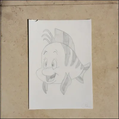 De quelle couleur sont les nageoires de Polochon ? Elles sont...