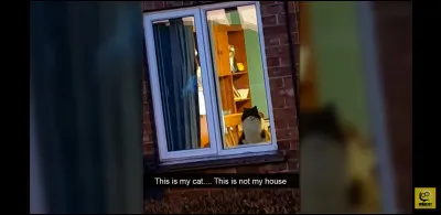 Quelqu'un s'amuse à lancer des pierre sur ta fenêtre, que fais-tu ?