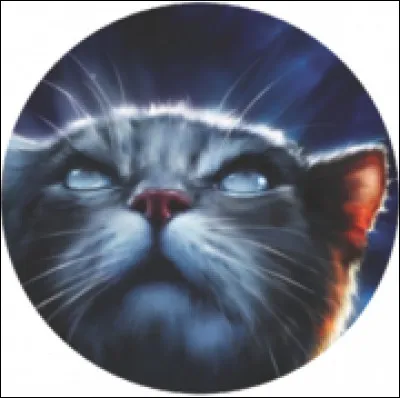 Facile, qui est ce chat ?