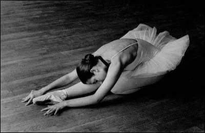 En quelle année l'émission télévisée "Danse avec les stars" est-elle diffusée pour la première fois ?