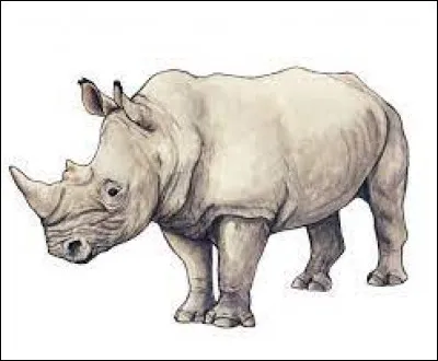 Quel animal te ferais-tu tatouer ?