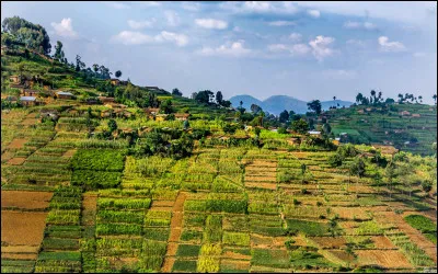 Quel pays d'Afrique de l'Est a pour capitale Kigali ?