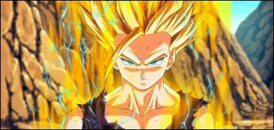 Comment s'appelle cette personne ?