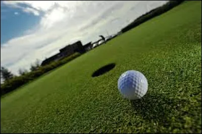 Comment se nomme la surface de gazon qui entoure le trou au golf ?