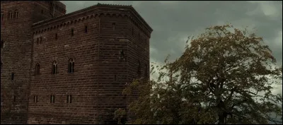 Complétez : 
"Längst geschlagen sind die..."