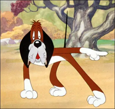 Est-ce Willoughby, le chien de chasse sot ?