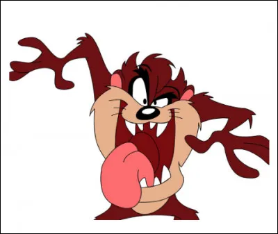 Est-ce Taz, le diable de Tasmanie ?