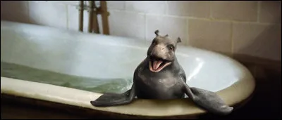 Qui est cet adorable dragon ?