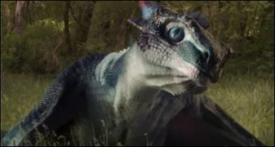 Quel est le nom de ce dragon ?