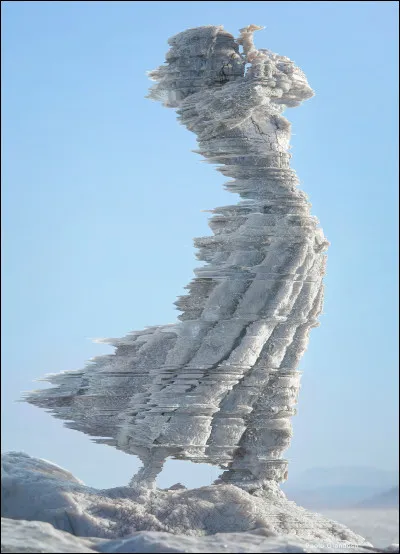 Cette femme sera transformée en statue de sel lors de la destruction de la ville de Sodome malgré les avertissements de son époux. Qui est-il ?