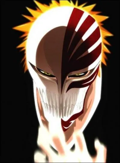(Ichigo Kurosaki) Pourquoi peut-on dire qu'il est aussi un Vizard ?