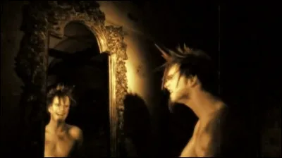 Complétez : 
"Ich bin allein mit meinen..."