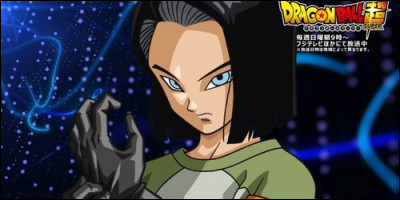 De quel manga est ce personnage ?