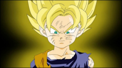 De quel manga est ce personnage ?