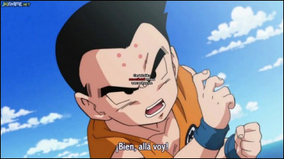 De quel manga est ce personnage ?