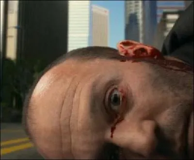 Survit-il  sa chute ?