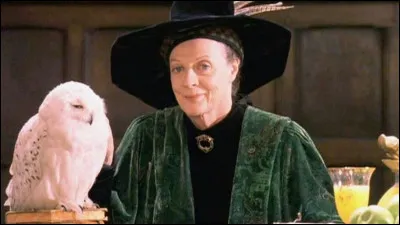 Quel est ce personnage ?