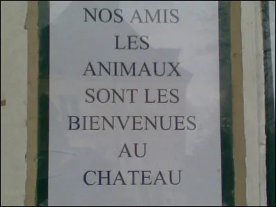 Tout le monde devrait savoir que l'on dit une animal !