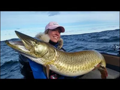 Si vous voulez attraper son cousin, dès le confinement terminé, vous pouvez prendre un avion pour le Canada !