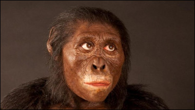 À quel groupe doit-on le nom de la célèbre australopithèque Lucy  ?