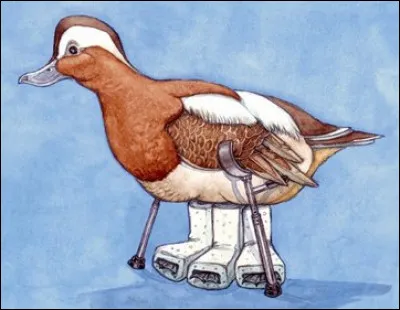 "Ne pas casser trois pattes à un canard" signifie...