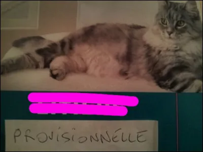 Et puis quoi, il veut pas que je lui paye impôt, le "loco" ?