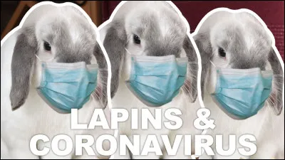 Quel est ton sport favori ?