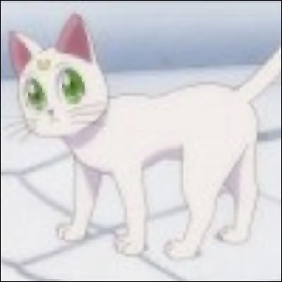 Comment s'appelle ce chat ?