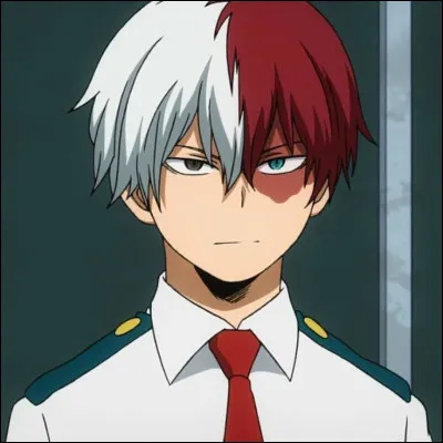 MHA : qui a fait la cicatrice sur le visage de Shoto ?