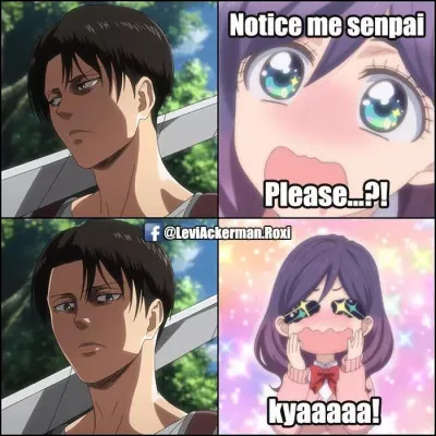 Kiffes-tu le Caporal-Chef Livaï Ackerman ?