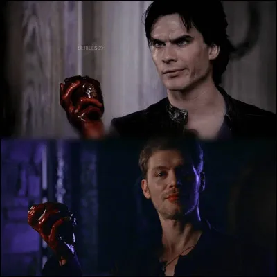 Tu préférerais être un :