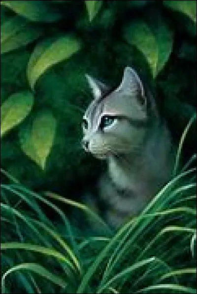 Feuille de Lis espionne la forêt sombre. Pour le compte de qui ?