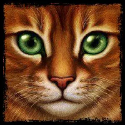 Quand Étoile de Feu tue Étoile du Tigre, que lui arrive-t-il ?