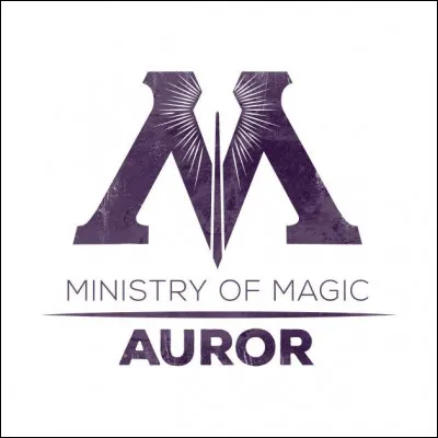 Quel m&eacute;tier voudrais-tu faire dans le monde des sorciers ?