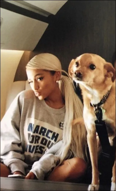 Quel est le nom qui appartient à l'un de ses chiens ?