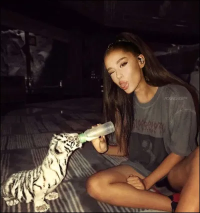 Combien de chiens a-t-elle ?