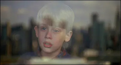 Alors que Kevin atterrit à sa destination il se rend compte en regardant la vue grâce à la vitre d'une fenêtre de l'aéroport qu'il n'est pas à la bonne destination et sa famille n'est pas avec lui ! Où a atterri Kevin ?