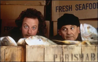 Harry et Marvin ne veulent plus s'amuser à cambrioler des maisons mais ils préfèrent maintenant cambrioler :