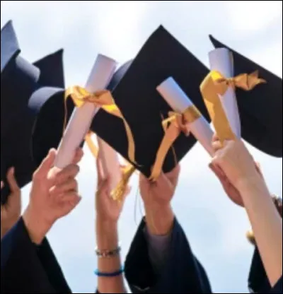 Comment fais-tu ta déclaration ?