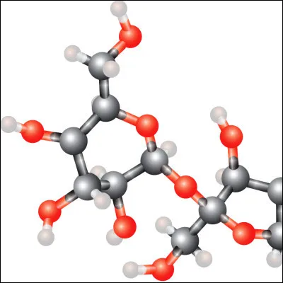 Quel scientifique a laiss&eacute; son nom au nombre de mol&eacute;cules contenues dans une mole ?