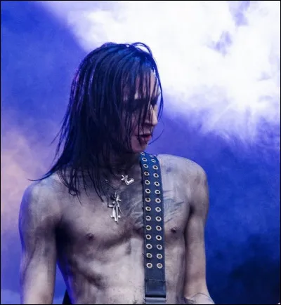 Avec quel groupe n'a-t-il pas collabor&eacute; ?