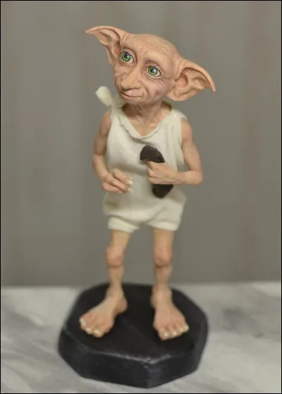 Où Harry voit-il Dobby pour la première fois ?