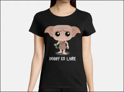 Pourquoi n'arrivait-il pas à trouver du travail ?